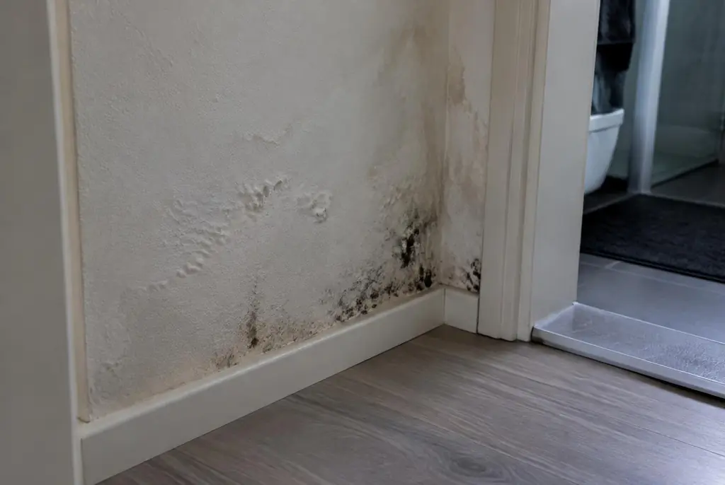 Lekdetectie Nijmegen – vochtplek met schimmel op een muur